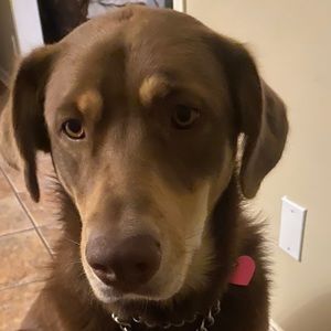 Meet your Posher, Carrie